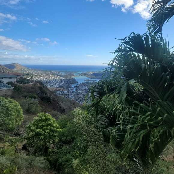 Meet your Posh ambassador, Gina - Picture 8 of 12